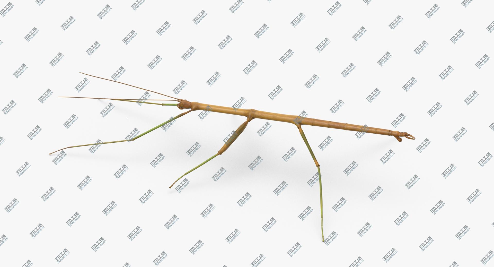 images/goods_img/2021040235/Walkingstick Rigged 3D/2.jpg
